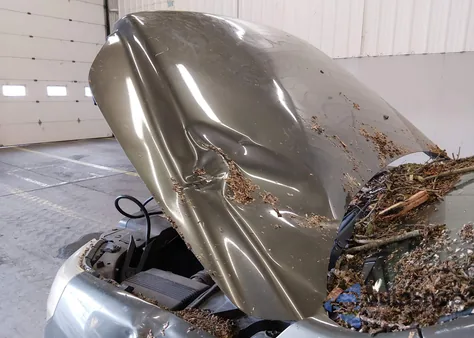 2006 Honda Pilot Ex-L z USA, uszkodzony, nr VIN 5FNYF18646B024506